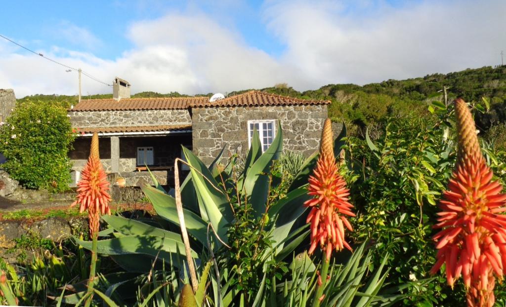 Casa Do Bernardo Villa Feiteira Exteriör bild